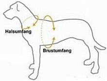 Lade das Bild in den Galerie-Viewer, Nachhaltiges Hundegeschirr | Recycelt & reflektierend | Polar Night