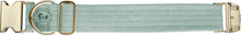 Lade das Bild in den Galerie-Viewer, Hundehalsband mit Klickverschluss | Korkleder | Umweltfreundlich | Robust & Vegan | Mint/Gold