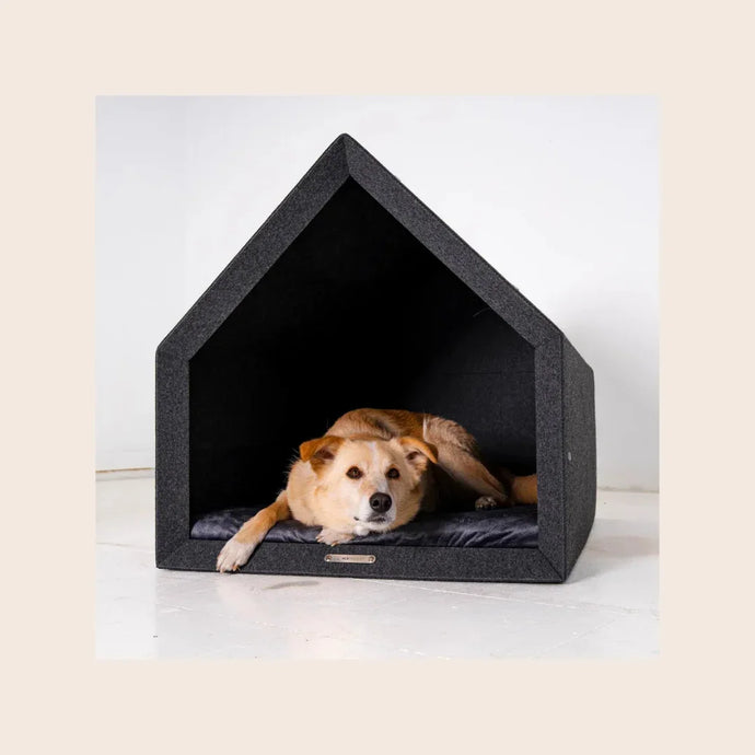 Indoor Hundehütten für Hunde – Komfort und Geborgenheit für deinen Vierbeiner