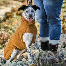 Lade das Bild in den Galerie-Viewer, Wärmende Hundejacke Warming Midlayer ECO von Hurtta | Super bequem &amp; nachhaltig | Recyceltes ECO-Material | Desert
