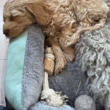 Lade das Bild in den Galerie-Viewer, Kaffeeholz Wurzel WOODIE | Kauspielzeug | 100% natürlich &amp; biologisch abbaubar | 3 Größen | Fräulein Plath
