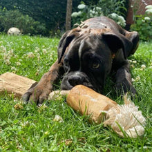 Lade das Bild in den Galerie-Viewer, Kaffeeholz Wurzel WOODIE | Kauspielzeug | 100% natürlich &amp; biologisch abbaubar | 3 Größen | Fräulein Plath
