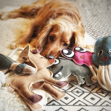 Lade das Bild in den Galerie-Viewer, Nachhaltiges Hundespielzeug Spar-Set &quot;Fun&quot; | 100% schadstofffrei | Upcycling Leder &amp; natürliche Baumwolle

