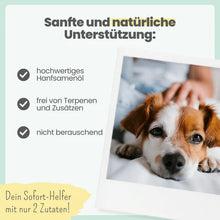 Lade das Bild in den Galerie-Viewer, Noms+ 10% CBD Tropfen für Hunde | 100% natürlich &amp; sanft | 10ml Öl | Fräulein Plath
