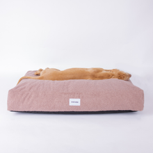 Lade das Bild in den Galerie-Viewer, Hundebett Teddy von Caruso - orthopädisch &amp; recycelt - Oeko-Tex® Standard - 3 Farben &amp; Größen Rosa - Teddy | Fräulein Plath
