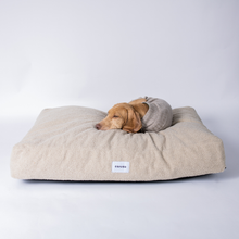 Lade das Bild in den Galerie-Viewer, Hundebett Teddy von Caruso - orthopädisch &amp; recycelt - Oeko-Tex® Standard - 3 Farben &amp; Größen
