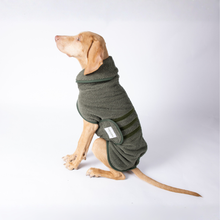 Lade das Bild in den Galerie-Viewer, Hundebademantel Cozy Hug von Caruso - OEKO-TEX® zertifiziert - 3 Farben &amp; 6 Größen Waldgrün | Fräulein Plath
