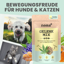 Lade das Bild in den Galerie-Viewer, Gelenkmix mit Teufelskralle, Kurkuma &amp; Glucosamin für Hunde &amp; Katzen | Unterstützt akut und frühzeitig | 100% vegan &amp; tierleidfrei | 150g
