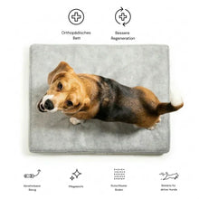 Lade das Bild in den Galerie-Viewer, Nachhaltiges Rexproduct Hundebett OTTO - orthopädisch - waschbar &amp; schadstofffrei - Marine - 5 Matratzenfarben | Fräulein Plath
