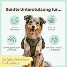 Lade das Bild in den Galerie-Viewer, Noms+ Z-Komplex für Hunde | Leckerer Soft-Snack für Wald &amp; Wiese | Für die Outdoor Saison | Vegan &amp; tierleidfrei | 200g | Fräulein Plath
