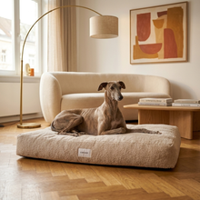 Lade das Bild in den Galerie-Viewer, Hundebett Teddy von Caruso - orthopädisch &amp; recycelt - Oeko-Tex® Standard - 3 Farben &amp; Größen | Fräulein Plath
