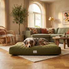 Lade das Bild in den Galerie-Viewer, Hundebett Teddy von Caruso - orthopädisch &amp; recycelt - Oeko-Tex® Standard - 3 Farben &amp; Größen | Fräulein Plath
