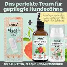 Lade das Bild in den Galerie-Viewer, Natürliches Zahnpflege Trio von noms+ | Dentalspray - Zahncreme - Fingerling | 100% vegan &amp; tierleidfrei
