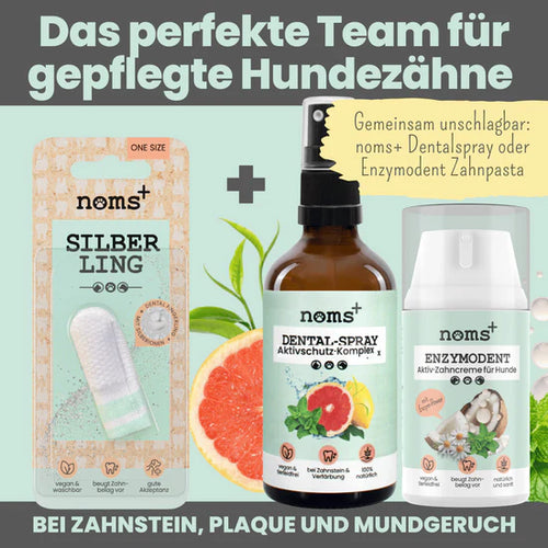 Natürliches Zahnpflege Trio von noms+ | Dentalspray - Zahncreme - Fingerling | 100% vegan & tierleidfrei