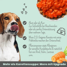 Lade das Bild in den Galerie-Viewer, Noms+ Präbio Belly AKUT: pflanzenbasierte Darmkur für Hunde nach Moro-Art - Ready to eat
