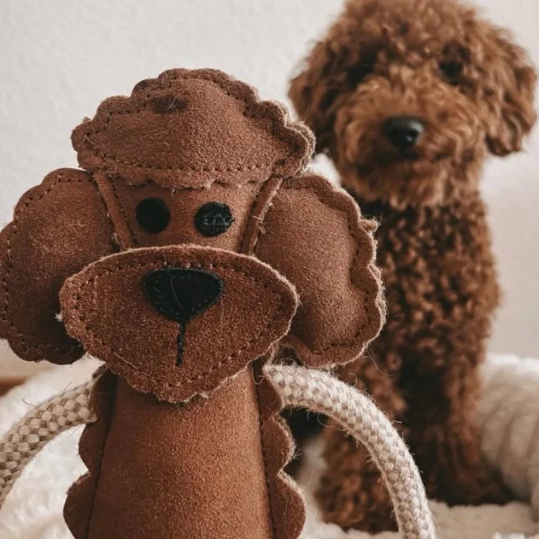 Nachhaltiges Fräulein Plath Hundespielzeug Pudel | 100% schadstofffrei