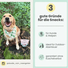Lade das Bild in den Galerie-Viewer, Noms+ Z-Komplex für Hunde | Leckerer Soft-Snack für Wald &amp; Wiese | Für die Outdoor Saison | Vegan &amp; tierleidfrei | 200g | Fräulein Plath
