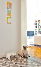 Lade das Bild in den Galerie-Viewer, dogBar® Single | Porzellan | Weiß
