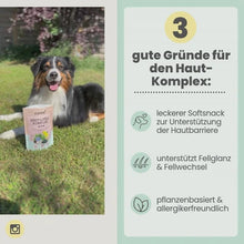 Lade das Bild in den Galerie-Viewer, Noms+ Haut &amp; Fell Komplex für Hunde | Unterstützt die Hautbarriere | Snacks mit Biotin, Zink &amp; Nachtkerzenöl | Vegan &amp; tierleidfrei | 200g
