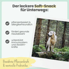 Lade das Bild in den Galerie-Viewer, Noms+ Z-Komplex für Hunde | Leckerer Soft-Snack für Wald &amp; Wiese | Für die Outdoor Saison | Vegan &amp; tierleidfrei | 200g | Fräulein Plath
