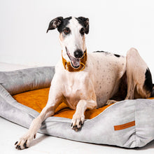 Lade das Bild in den Galerie-Viewer, Premium Hundebett SoftColor | Recycelte Materialien | Oeko-Tex® Standard 100  | Hellgrau | 9 versch. Matratzenfarben
