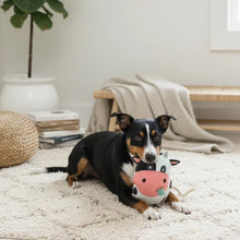 Lade das Bild in den Galerie-Viewer, Nachhaltiges BUDDY. Hundespielzeug aus Leder Kuh - schadstofffrei Hund mit  Maul
