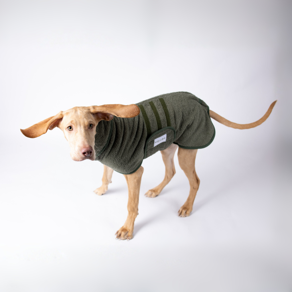 Hundebademantel Cozy Hug von Caruso - OEKO-TEX® zertifiziert - 3 Farben & 6 Größen | Fräulein Plath  - Waldgrün - Frottee - Saugstak