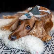 Lade das Bild in den Galerie-Viewer, Nachhaltiges Hundespielzeug Spar-Set &quot;Play&quot; | Ohne Giftstoffe &amp; 100% biologisch abbaubar
