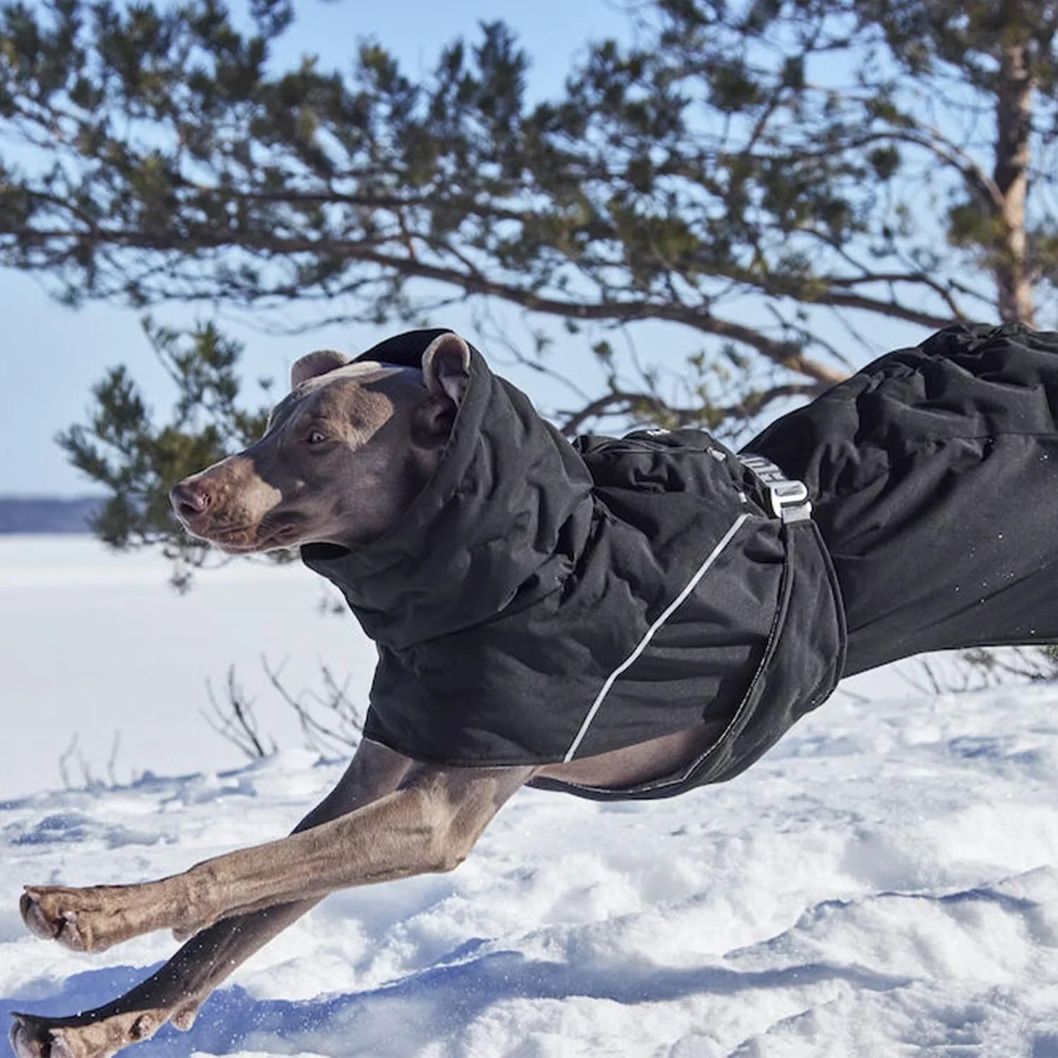 Wärmender Wintermantel Extreme Warmer III ECO von Hurtta | Warm & wasserdicht | Recyceltes ECO-Material | Raven