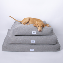 Lade das Bild in den Galerie-Viewer, Hundebett Clean von Caruso - orthopädisch &amp; recycelt - Oeko-Tex® Standard - 2 Farben | Fräulein Plath
