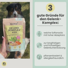 Lade das Bild in den Galerie-Viewer, Noms+ Gelenk-Komplex für Hunde | natürliche Gelenkunterstützung | Snacks mit Glucosamin, MSM und Kurkuma | Vegan &amp; tierleidfrei | 200g - Verpackung
