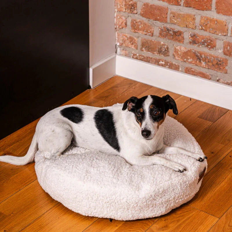 Hundebett & Hundekissen rund COCO Teddy Rexproduct | Öko-Tex Standard |  Hellbeige | 2 Größen