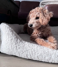 Lade das Bild in den Galerie-Viewer, Hund Pudel im Teddy Hundebett
