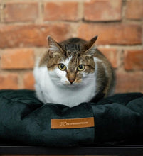 Lade das Bild in den Galerie-Viewer, Kissen für Katzen &amp; kleine Hunde &quot;Coco&quot; | Recycelte Materialien | OekoTex | Dunkelgrün | 2 Größen
