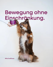 Lade das Bild in den Galerie-Viewer, ActivePaws von BetterPaws - Pulver für Knochen &amp; Gelenke - 250g - Hund mit Dose
