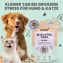Lade das Bild in den Galerie-Viewer, Wohlfühltabs für Hunde &amp; Katzen | Bei Stress, Angst, Unruhe &amp; Hyperaktivität | 100% vegan &amp; tierleidfrei | 130g
