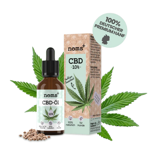 CBD Tropfen Hunde Cannabis