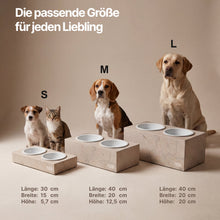 Lade das Bild in den Galerie-Viewer, Beige PRIGUR Cremó Futterstationen in S, M und L mit Hunden und Katze im Größenvergleich
