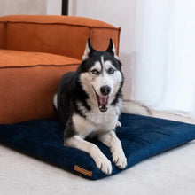 Lade das Bild in den Galerie-Viewer, Nachhaltige Öko Hundematratze "SoftPET" von Rexproduct | 100% schadstofffrei &amp; recycelt | 5 Farben
