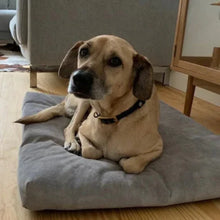 Lade das Bild in den Galerie-Viewer, Nachhaltige Öko Hundematratze "SoftPET" von Rexproduct | 100% schadstofffrei &amp; recycelt | 5 Farben
