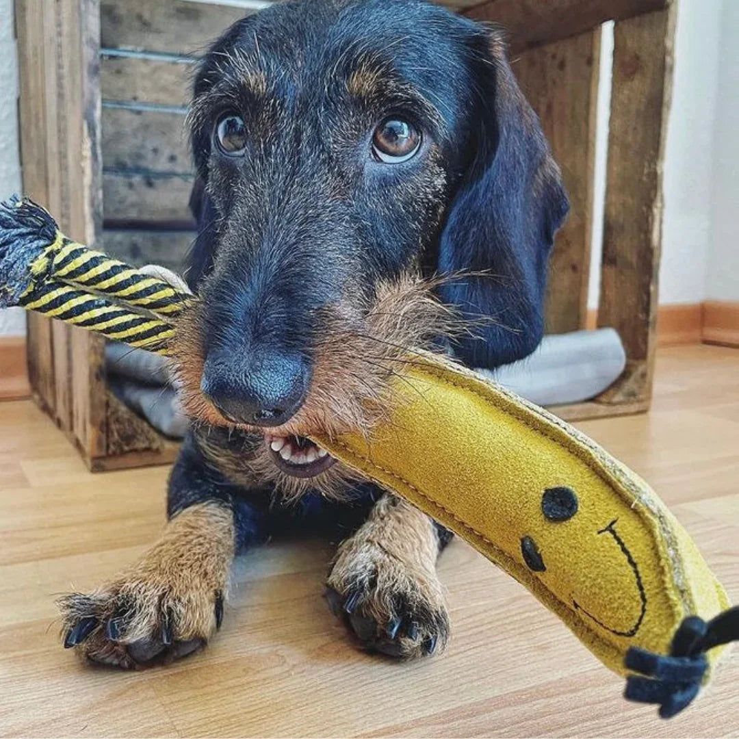 Nachhaltiges Leder Hundespielzeug - schadstofffrei & robust