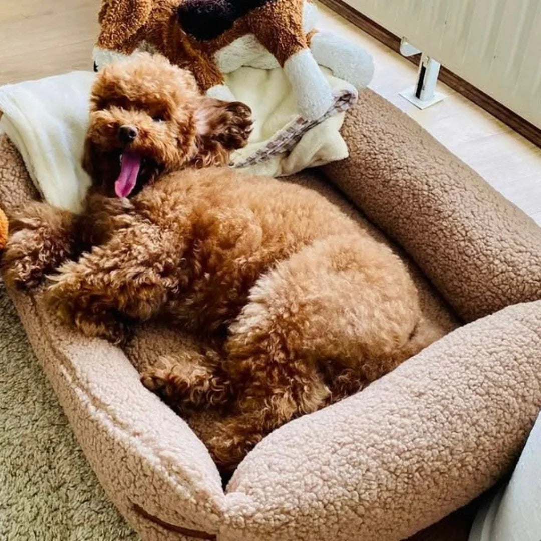 Nachhaltiges Premium Hundebett 