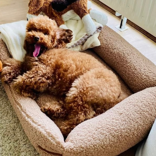 Öko Hundebett 