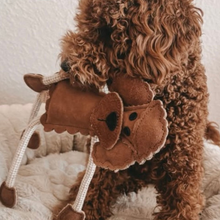 Lade das Bild in den Galerie-Viewer, Nachhaltiges Hundespielzeug Spar-Set &quot;Let´s go&quot; | 100% schadstofffrei | Upcycling Leder &amp; natürliche Baumwolle
