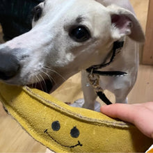 Lade das Bild in den Galerie-Viewer, Nachhaltiges Hundespielzeug Spar-Set &quot;Fruity Fun&quot; | 100% schadstofffrei | Upcycling Leder &amp; natürliche Baumwolle
