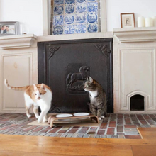 Lade das Bild in den Galerie-Viewer, Futterstation catBar® | Porzellan | Nussbaum | Holz aus zertifizierter Forstwirtschaft
