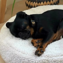Lade das Bild in den Galerie-Viewer, Hundebett &amp; Hundekissen rund &quot;Coco Teddy&quot; Rexproduct | Öko-Tex Standard | Hellbeige | 2 Größen
