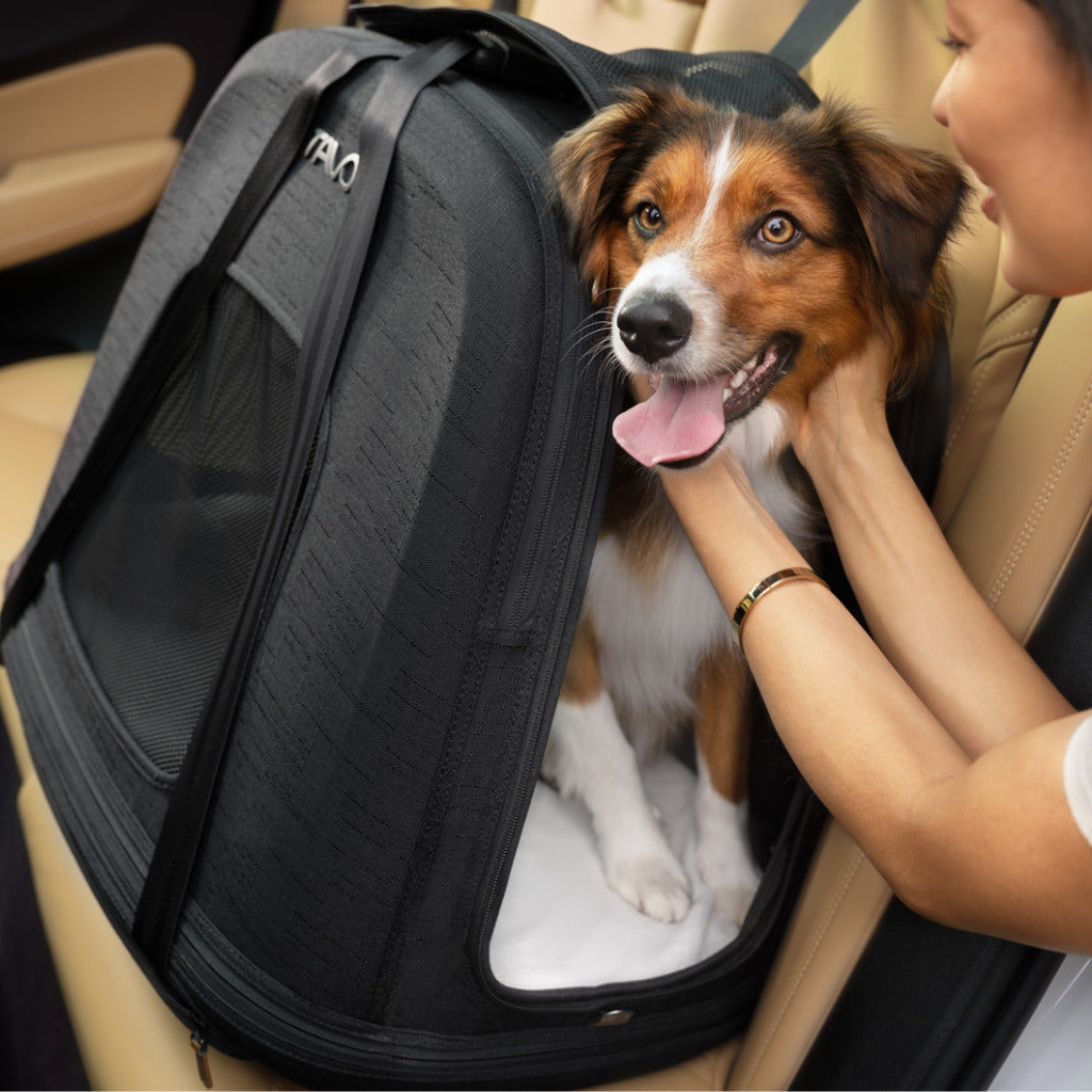 Crashgetestete Isofix Transportbox Auto Tavo Crispin für Hunde | 3 Größen bis 27.2 kg | Farbe: Onyx | Fräulein Plath