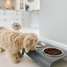 Lade das Bild in den Galerie-Viewer, LABBVENN RICO Futterstation für Hunde | Edelstahlnäpfe | 3 Größen | Grau - 2 Hunde 
