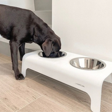 Lade das Bild in den Galerie-Viewer, LABBVENN RICO Futterstation für Hunde | Edelstahlnäpfe | 3 Größen | Weiß - Labrador trinkt aus Futterstation
